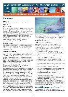gbrmpa-VA-Bottlenose-11-7-12.pdf.jpg