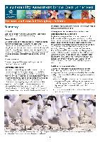 gbrmpa-VA-InshoreCoastalSeabirds-11-7-12.pdf.jpg