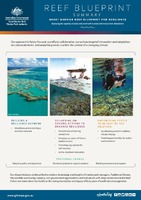Reef_blueprint_summary.pdf.jpg