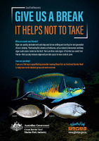 Coral reef Recovery.pdf.jpg