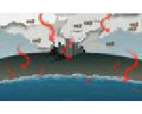 Ocean-acidification---Hermie-the-hermit-crab.pdf.jpg