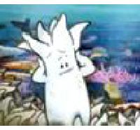 Coral-bleaching.mp4.jpg