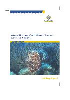 GBR-water-quality-current-issues.pdf.jpg