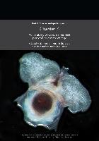 Chapter-6-Vulnerability-of-Great-Barrier-Reef-plankton-to-climate-change.pdf.jpg