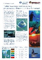 public-moorings-and-anchoring-protecting-coral-in-GBR.pdf.jpg