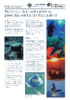 public-moorings-and-anchoring-proctecting-coral-in-whitsundays.pdf.jpg