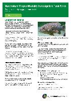 report-sick-or-dying-groper-and-finfish-2009.pdf.jpg