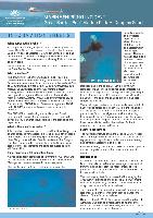 Shen-Neng-information-sheet-2.pdf.jpg