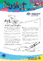 14-whales-and-dolphins-2005.pdf.jpg