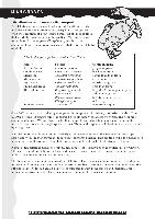 mangroves.pdf.jpg