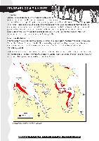 seagrass.pdf.jpg