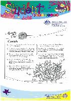 16 - Corals.pdf.jpg