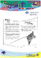10 - Sharks and Rays.pdf.jpg