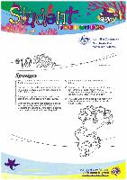 19 - Sponges.pdf.jpg