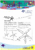 20 - Sea Stars.pdf.jpg