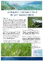 Lightloggers-to-investigate-drivers-of-change-in-seagrass-meadows.pdf.jpg