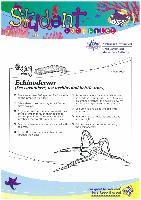 21 - Echinoderms.pdf.jpg