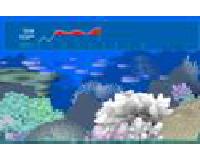 Coral-bleaching-on-the-Great-Barrier-Reef.pdf.jpg