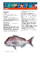 gbrmpa_VA_Snapper_15 September 2014_final.pdf.jpg