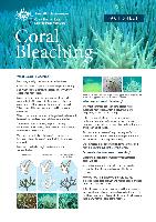Coral-Bleaching-Fact-Sheet.pdf.jpg