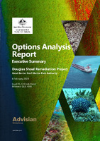 Options-Analysis-Report-Executive-Summary.pdf.jpg