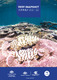 Reef-summer-snapshot-2021-22.pdf.jpg