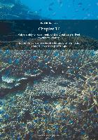 Chapter-17-Vulnerability-of-coral-reefs-of-the-Great-Barrier-Reef-to-climate-change.pdf.jpg