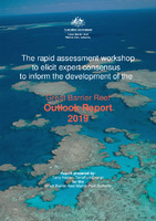 Rapid assessment workshop to inform Outlook Report 2019.pdf.jpg