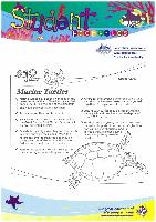 12 - Marine Turtles.pdf.jpg