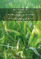 Chapter-8-Vulnerability-of-seagrasses-in-the-Great-Barrier-Ree-to-climate-change.pdf.jpg