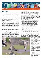 gbrmpa-VA-Shorebirds-11-7-12.pdf.jpg
