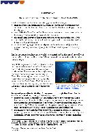 State-of-the-Reef-Report-2006-Overview.pdf.jpg