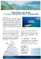 Keppel-Bay-case-study-Managing-for-resilience-on-the-Great-Barrier-Reef.pdf.jpg