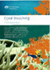 2006-Coral-Bleaching-GBR.pdf.jpg