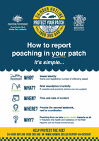 How-to-report-poaching_portrait.jpg.jpg