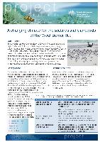 A-changing-climate-for-the-seabirds-and-shorebirds-of-the-Great-Barrier-Reef.pdf.jpg